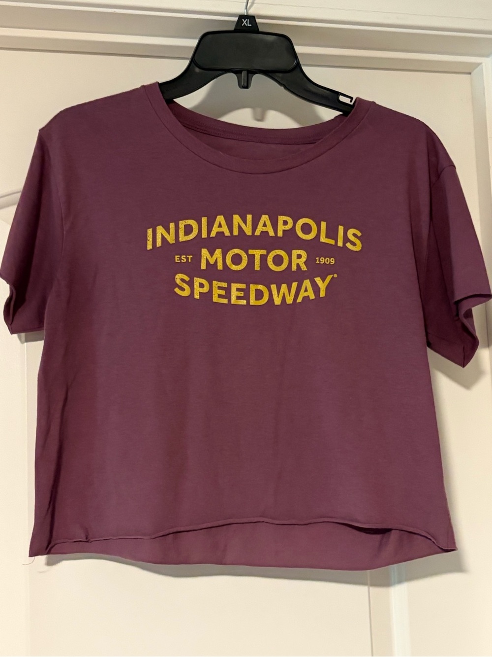 Indianapolis Motor Speedway Women's Mauve Cropped Graphic Tee